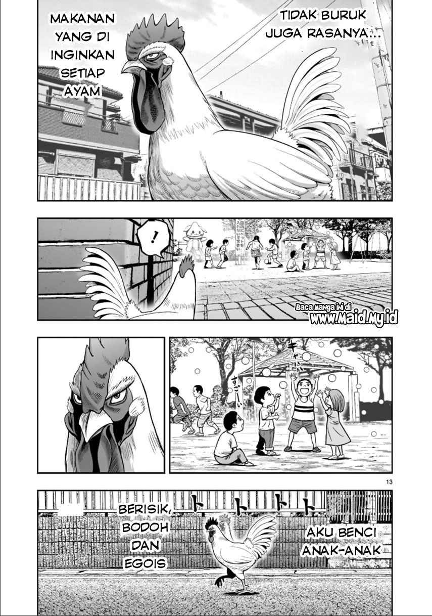 Rooster Fighter