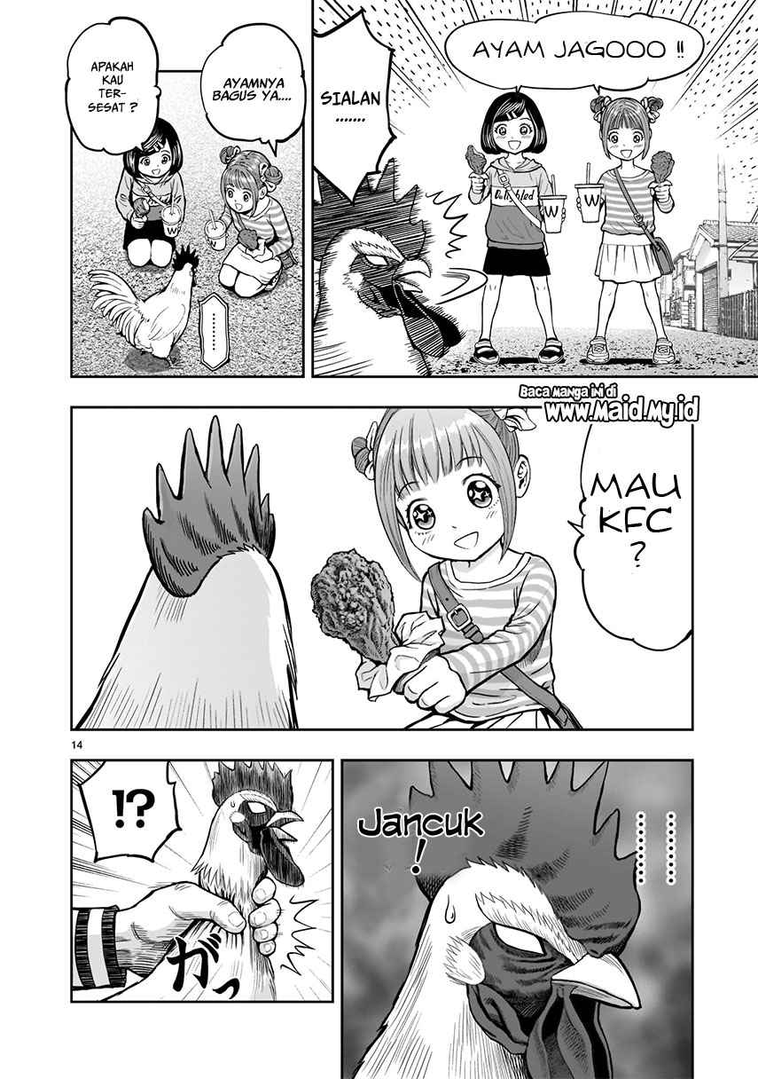 Rooster Fighter