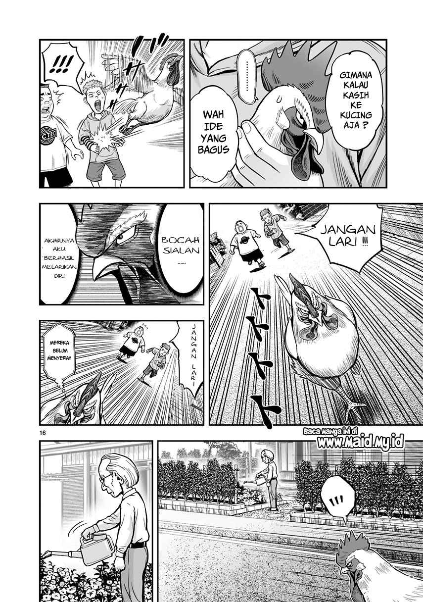 Rooster Fighter