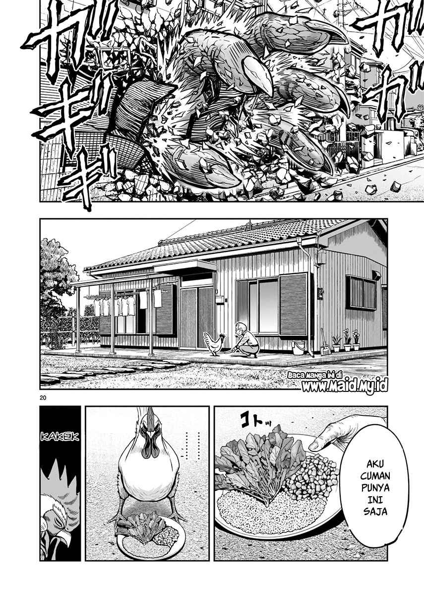 Rooster Fighter