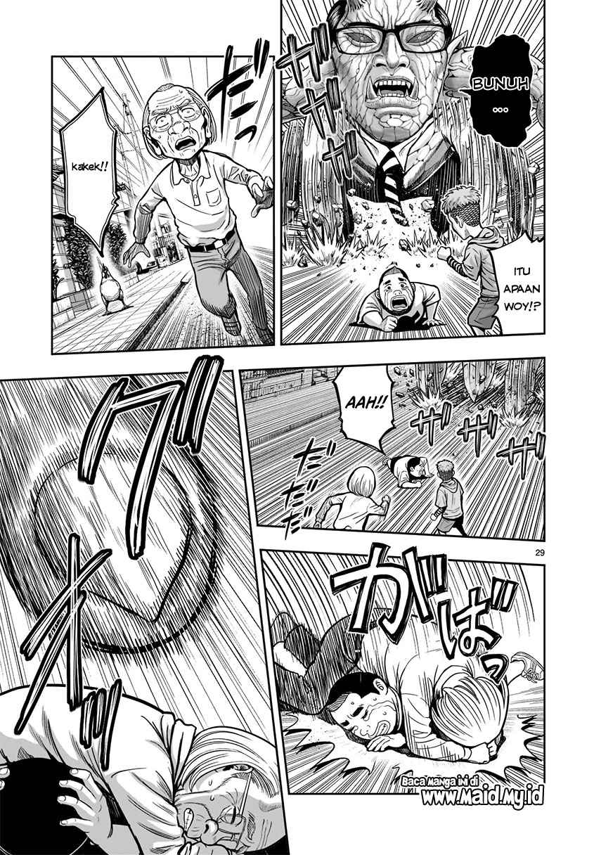 Rooster Fighter