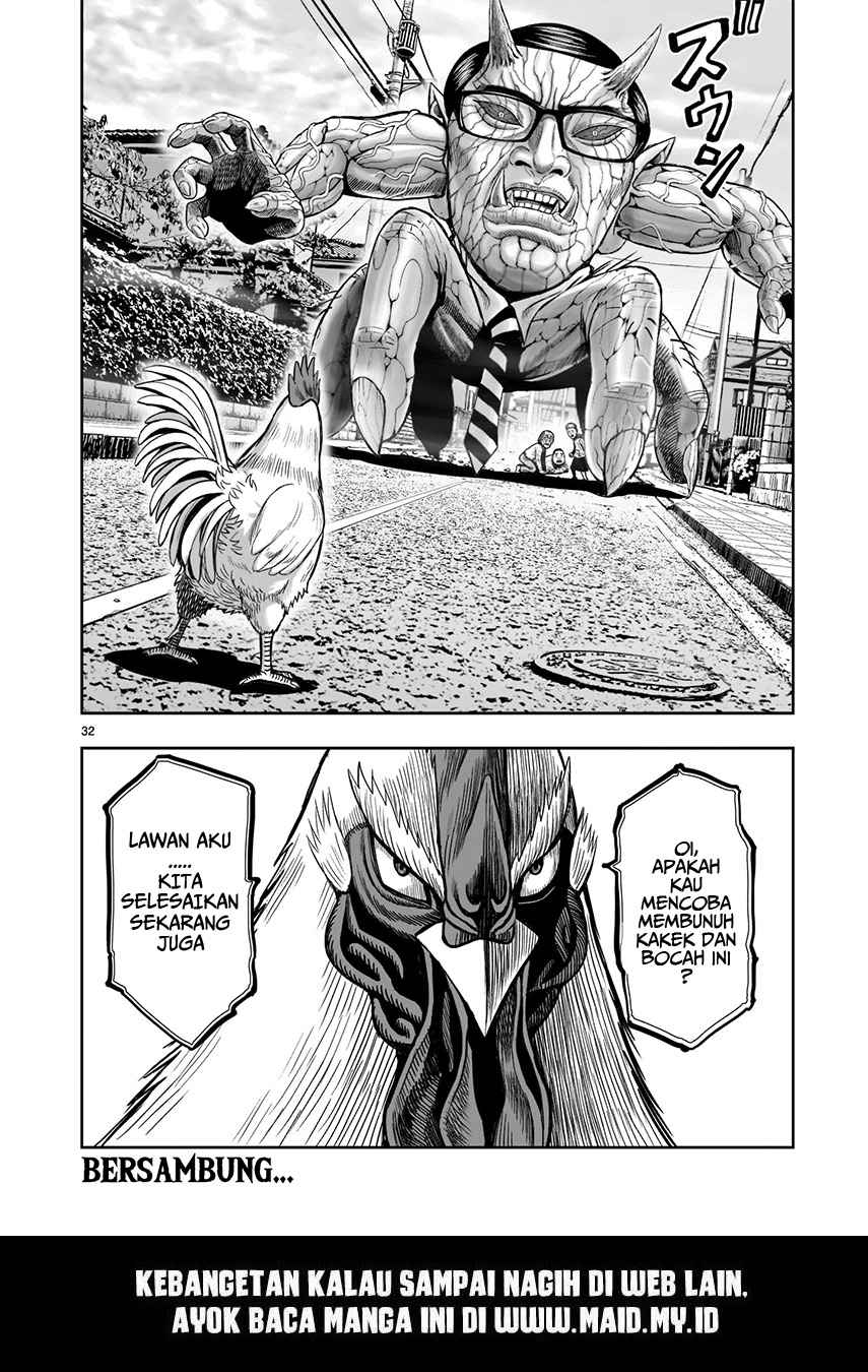 Rooster Fighter