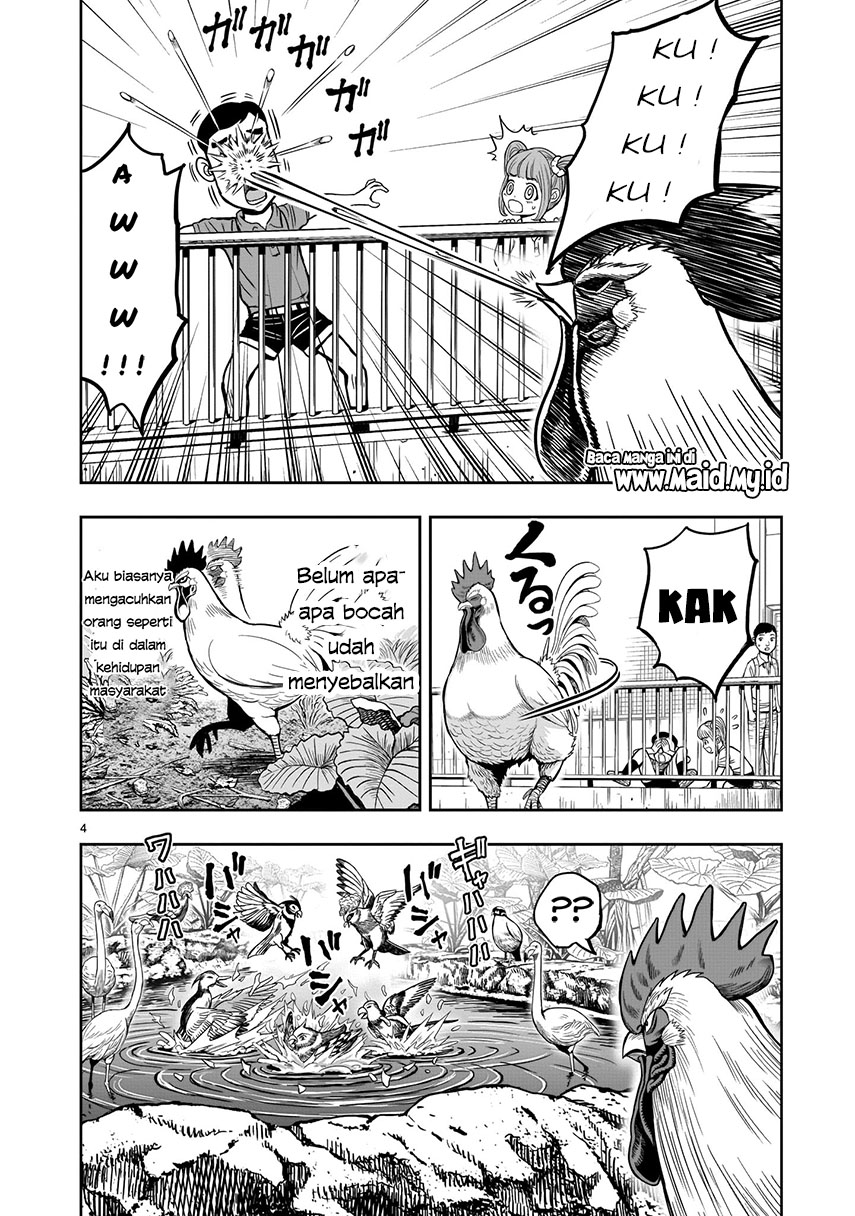 Rooster Fighter