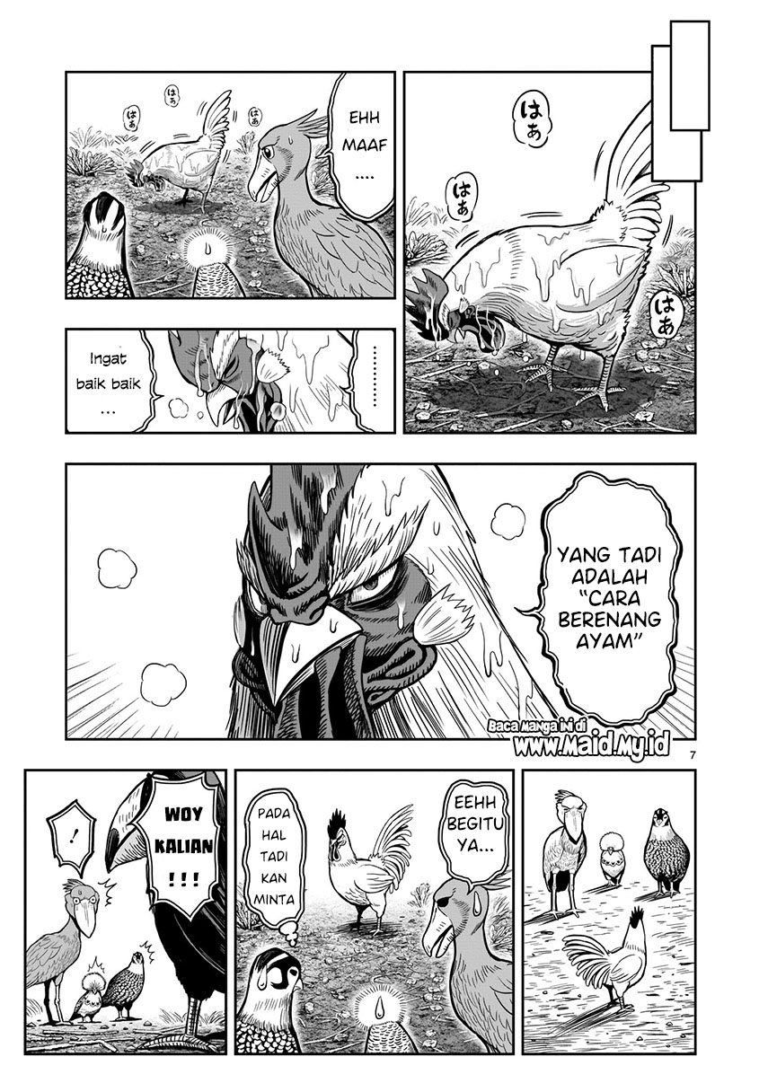 Rooster Fighter
