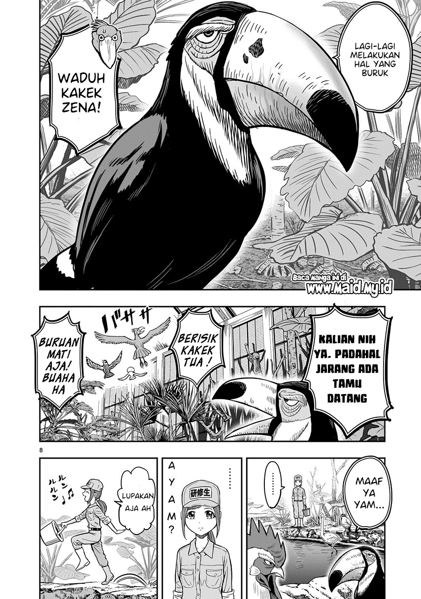 Rooster Fighter