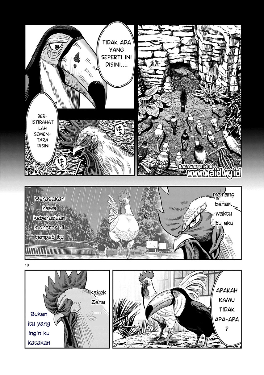 Rooster Fighter