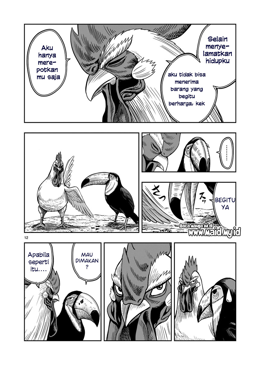 Rooster Fighter