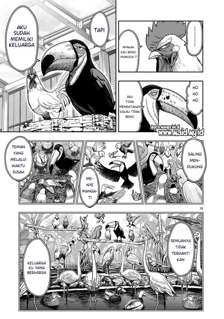 Rooster Fighter