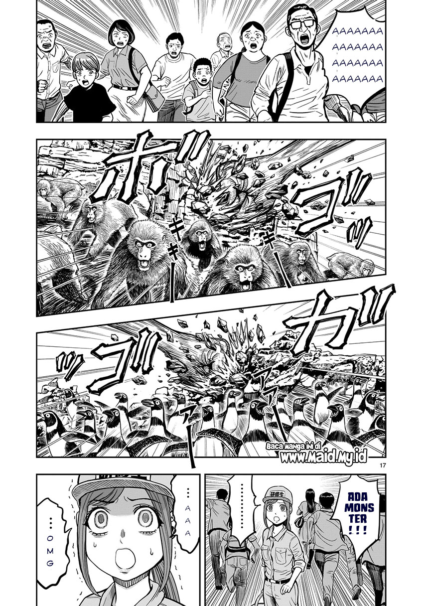 Rooster Fighter