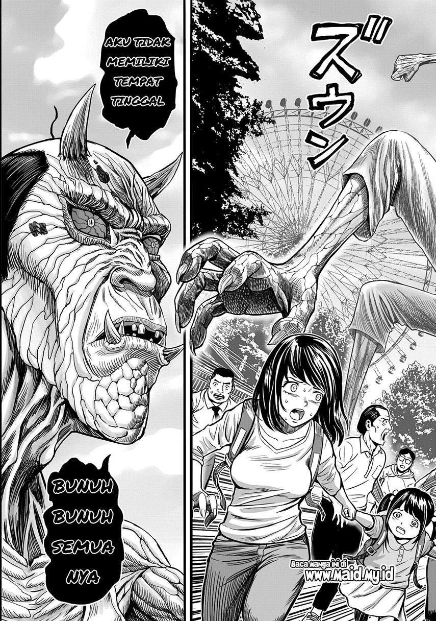 Rooster Fighter