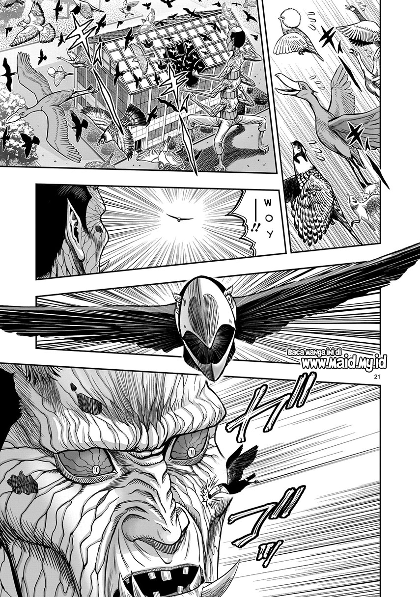 Rooster Fighter