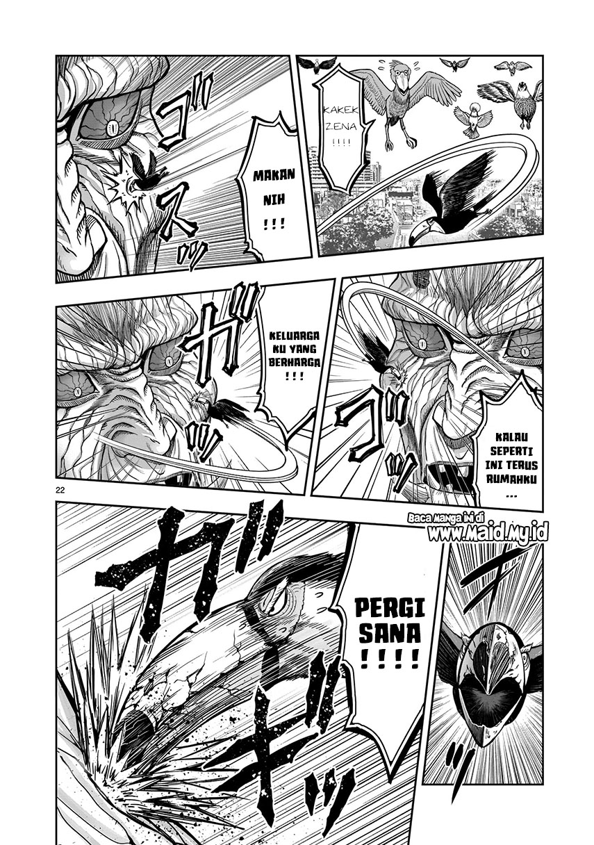 Rooster Fighter