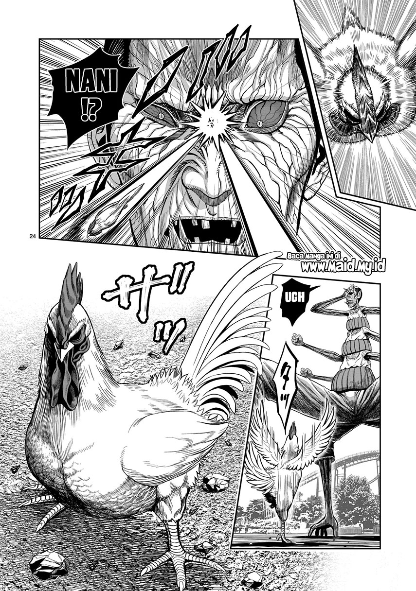 Rooster Fighter