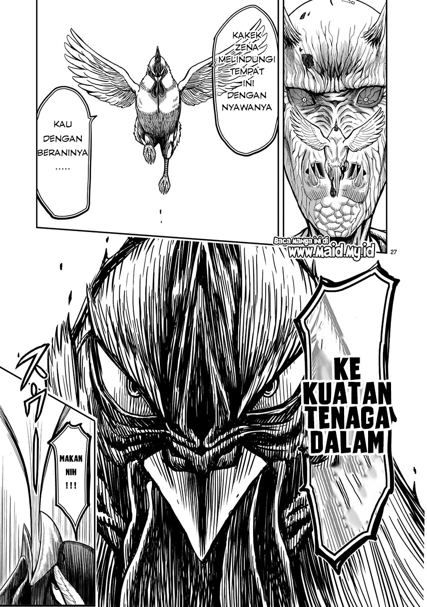 Rooster Fighter