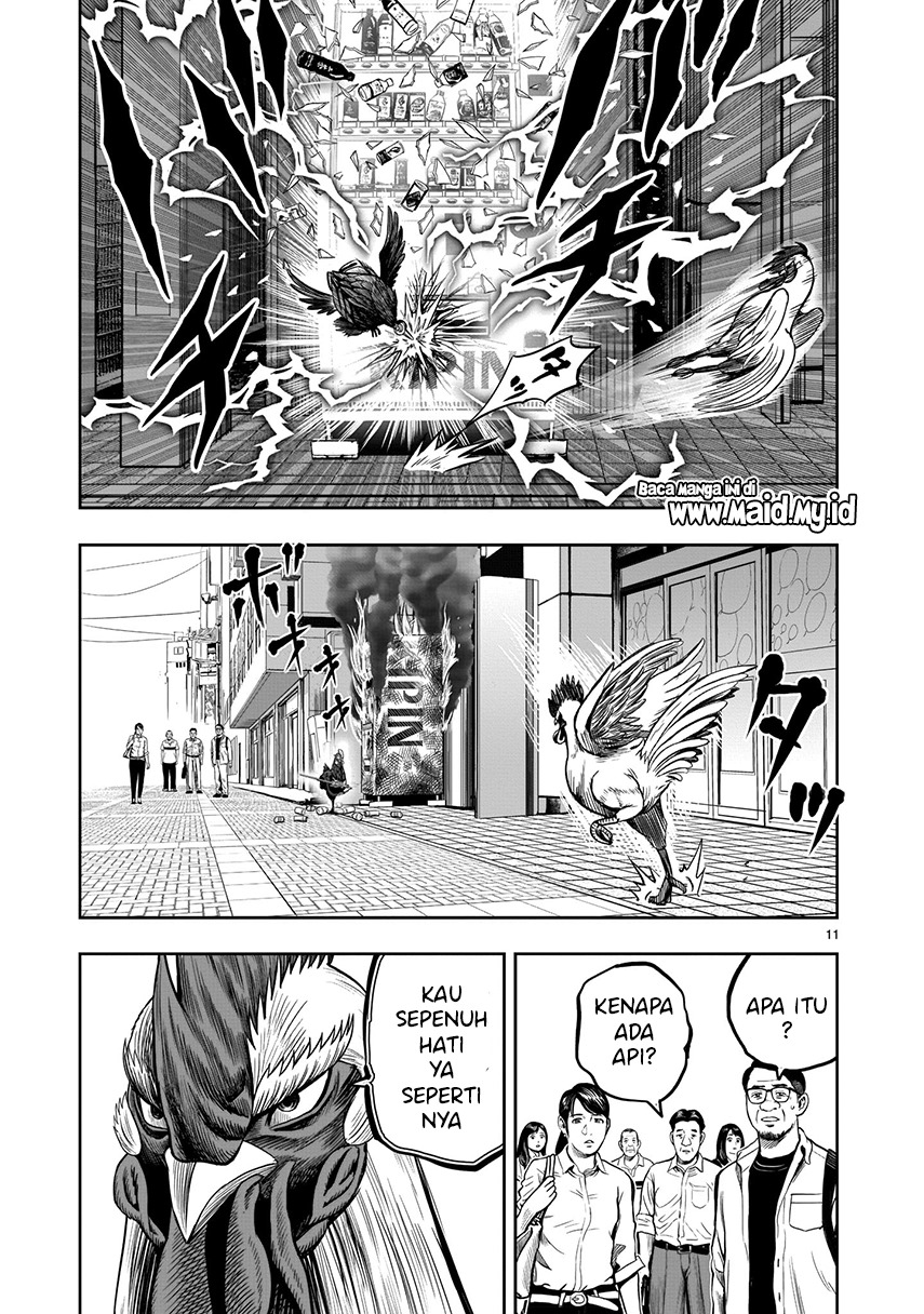 Rooster Fighter Chapter 7