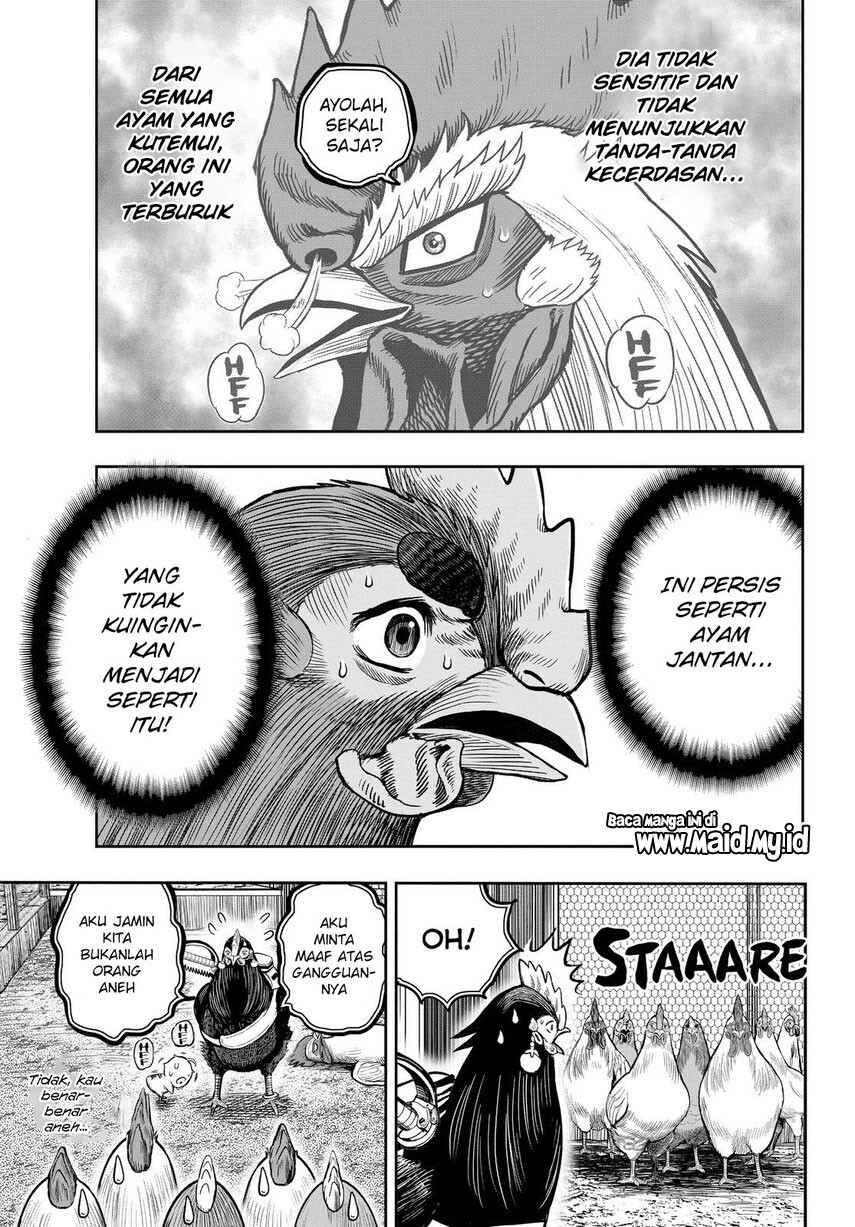 Rooster Fighter Chapter 11