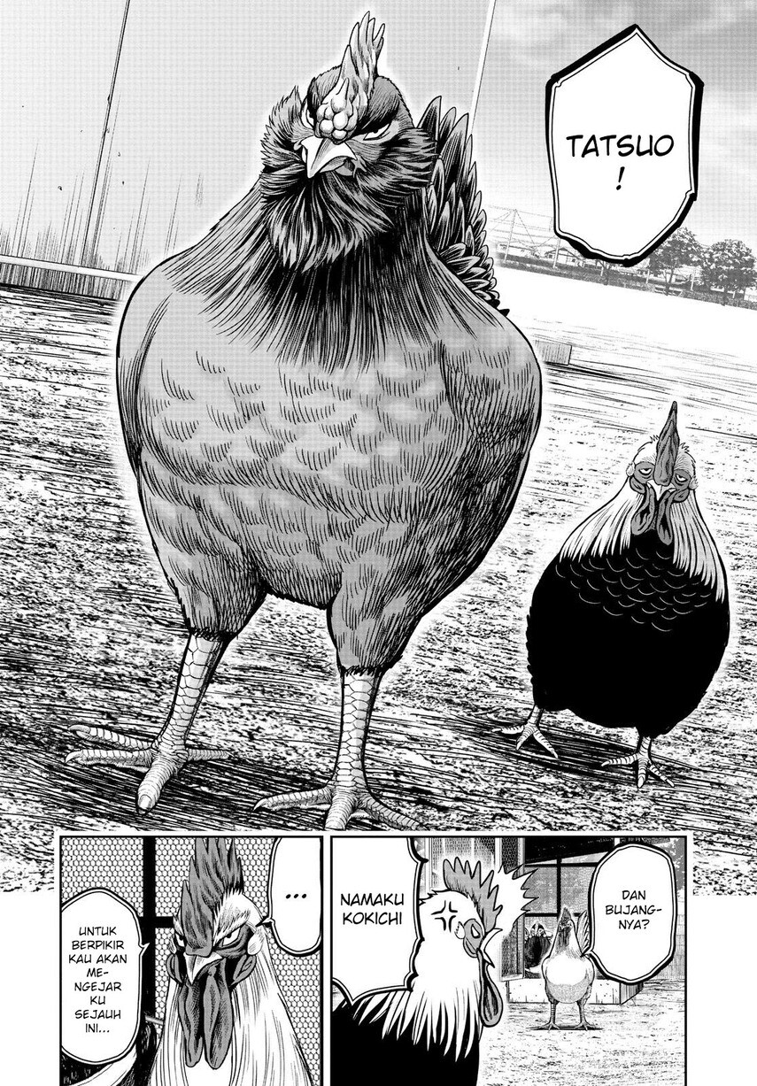 Rooster Fighter Chapter 11