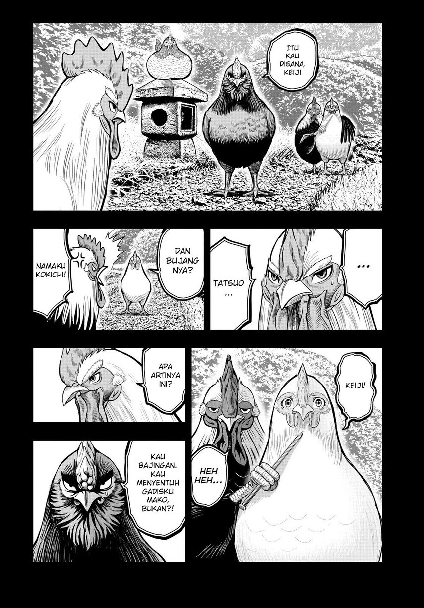 Rooster Fighter Chapter 11