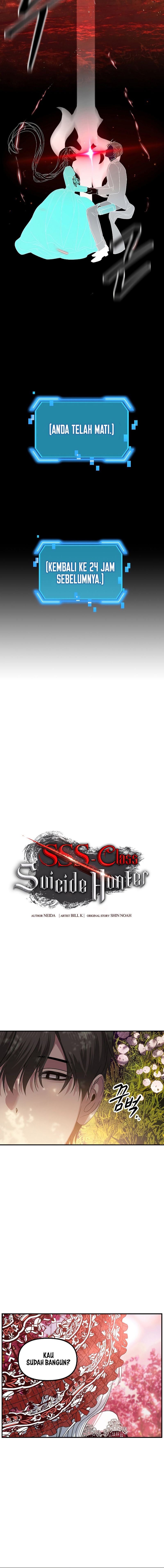SSS-Class Suicide Hunter