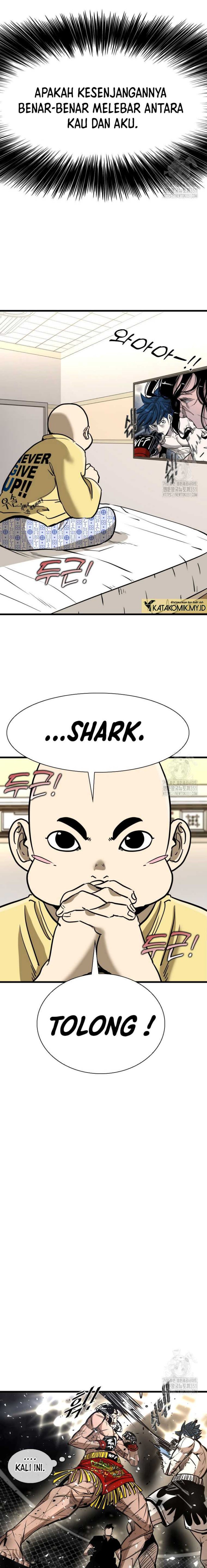 Shark