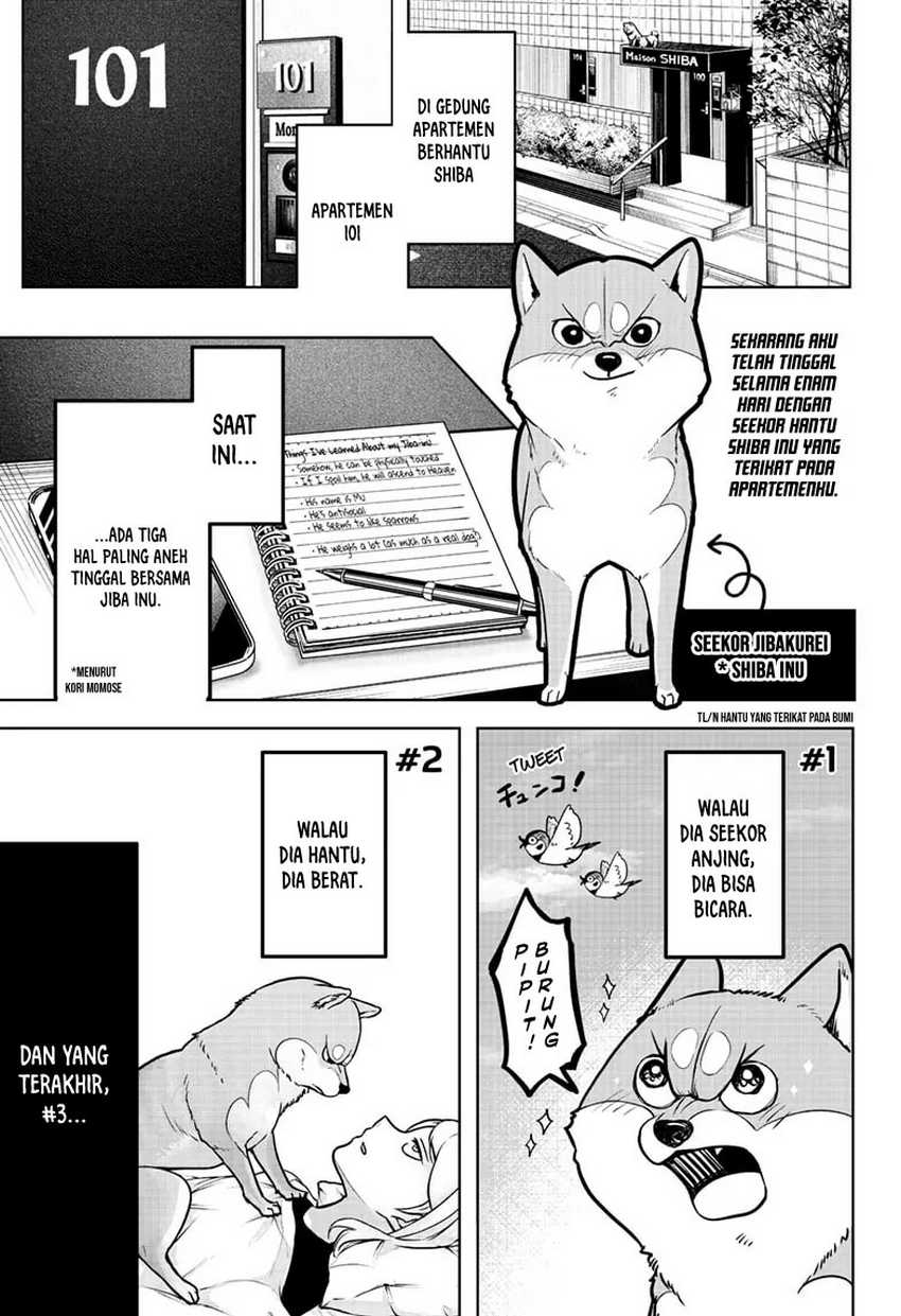 Shiba-Tsuki Bukken