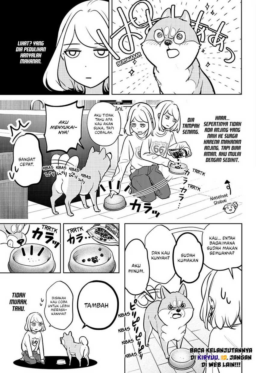 Shiba-Tsuki Bukken