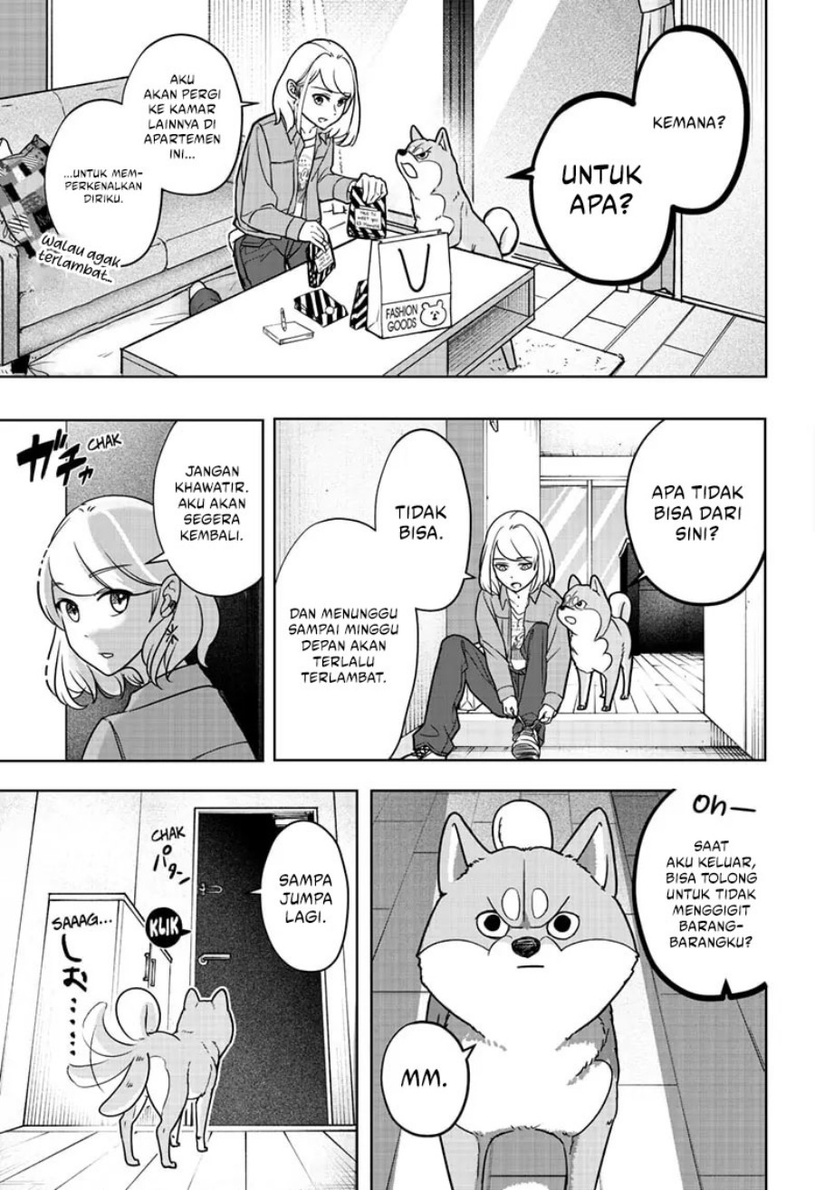 Shiba-Tsuki Bukken