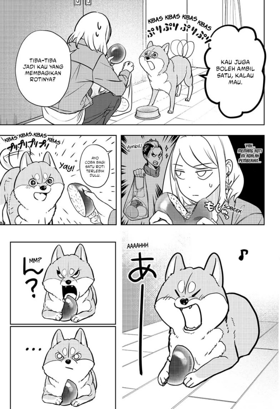 Shiba-Tsuki Bukken