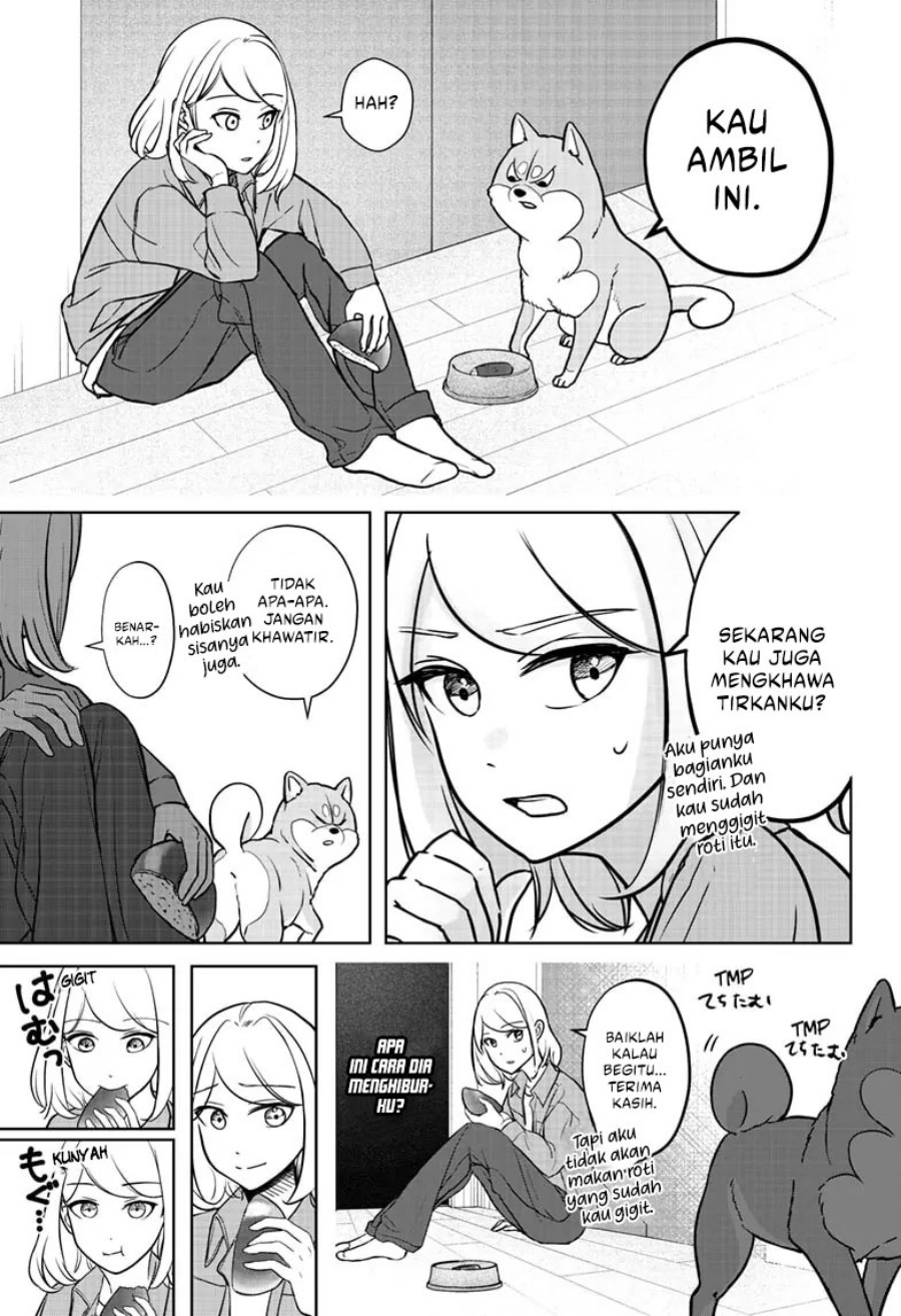 Shiba-Tsuki Bukken