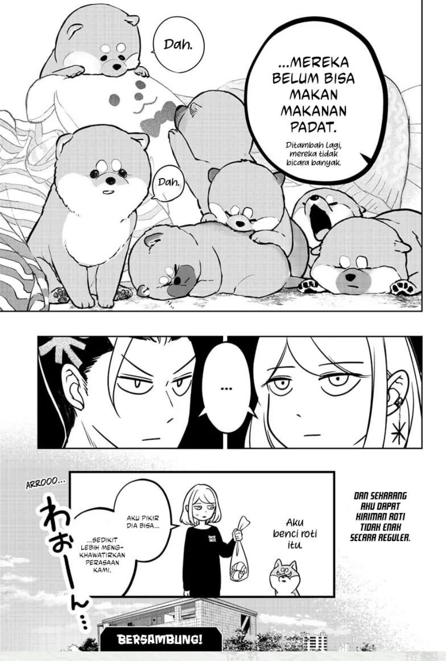 Shiba-Tsuki Bukken