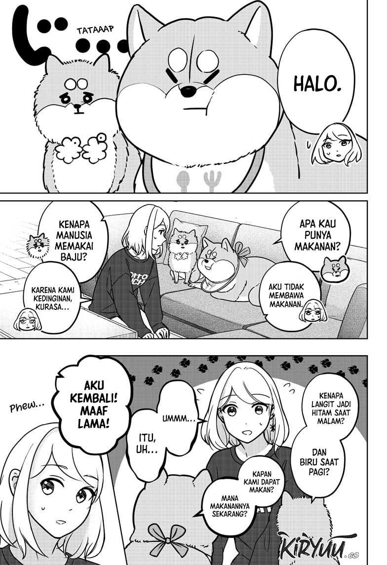 Shiba-Tsuki Bukken