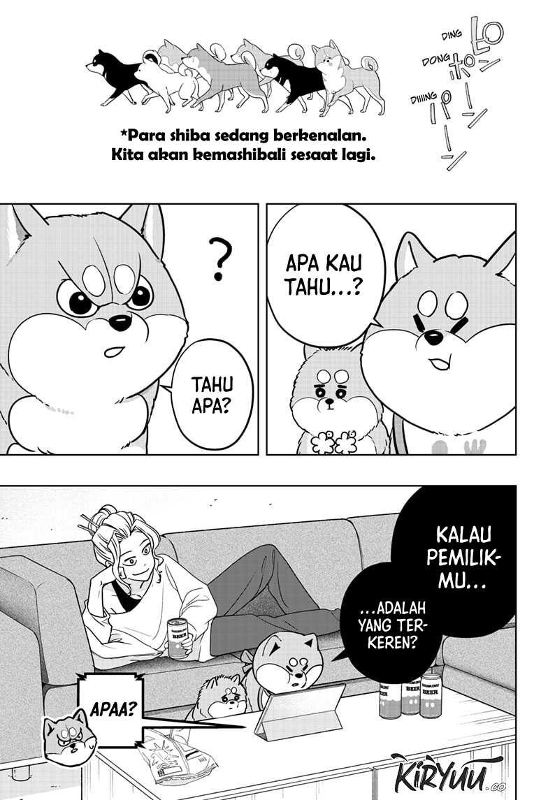 Shiba-Tsuki Bukken