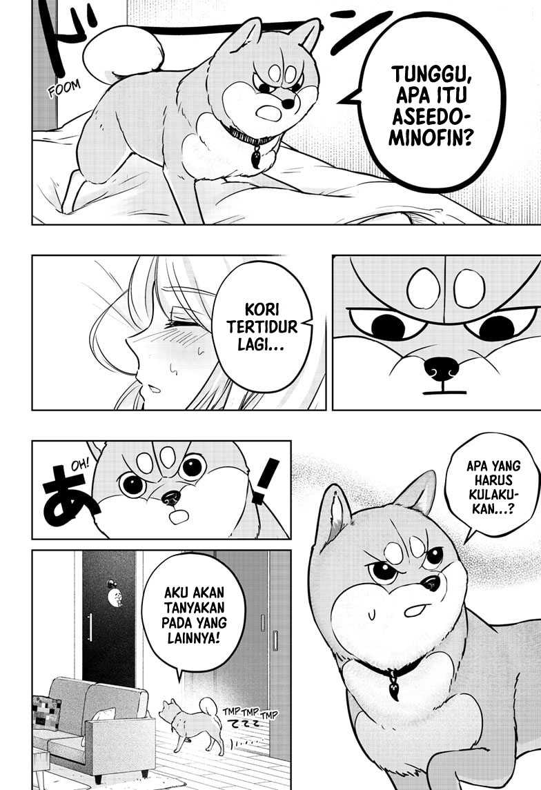 Shiba-Tsuki Bukken