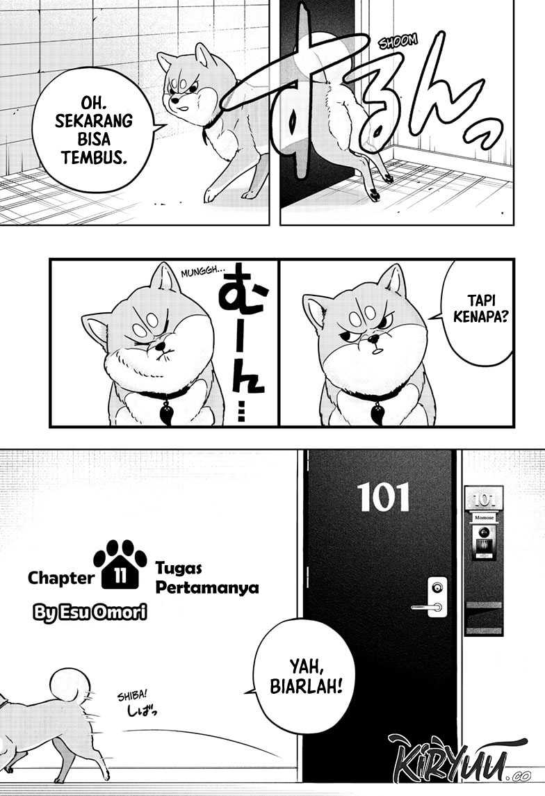 Shiba-Tsuki Bukken