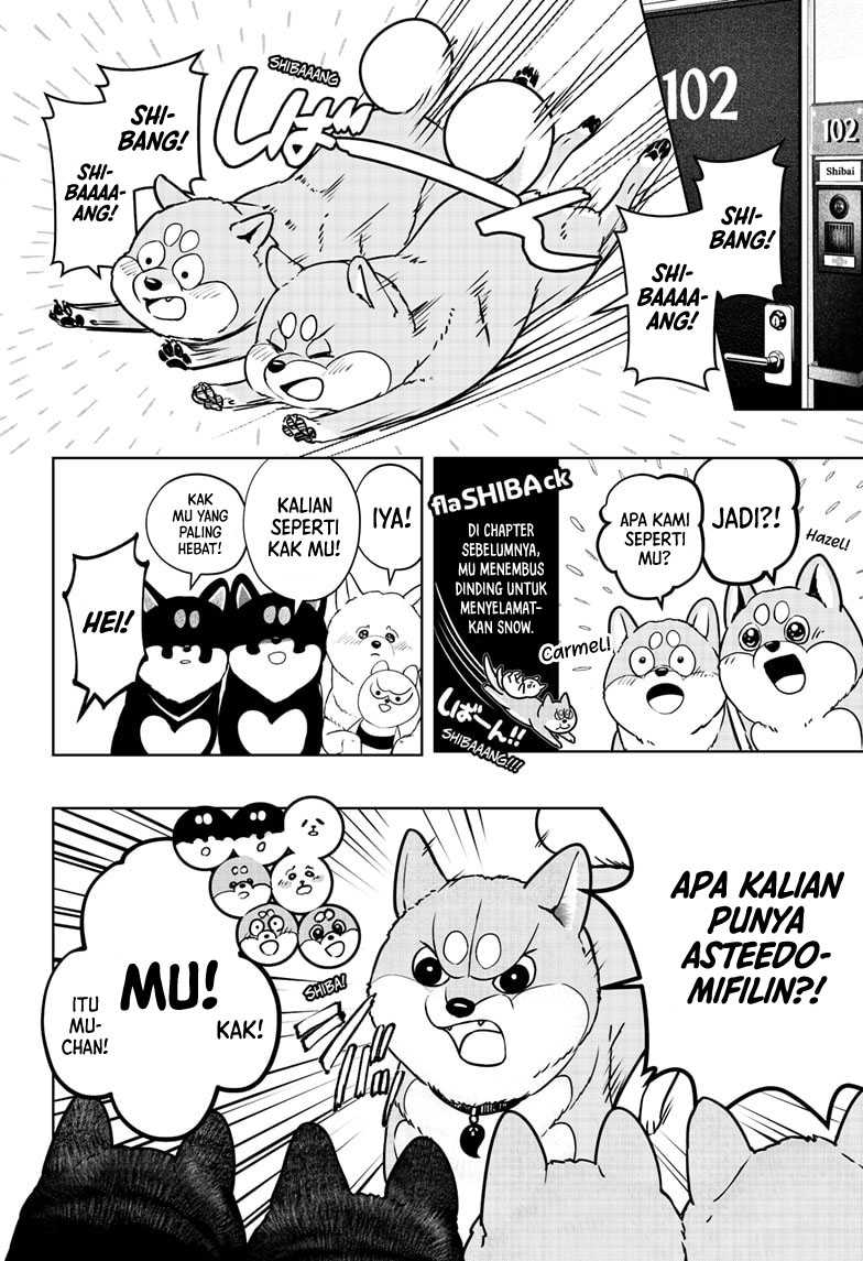 Shiba-Tsuki Bukken
