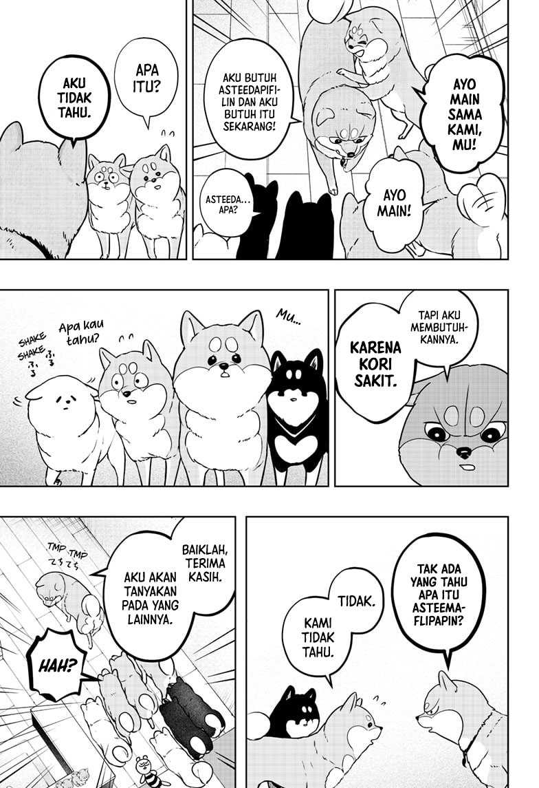 Shiba-Tsuki Bukken