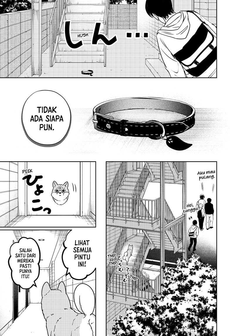 Shiba-Tsuki Bukken