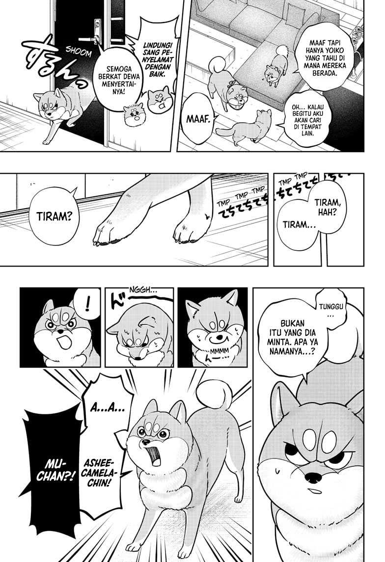 Shiba-Tsuki Bukken