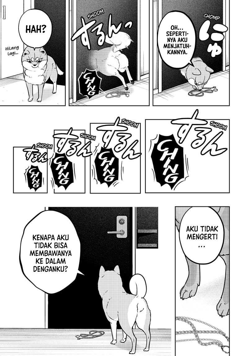 Shiba-Tsuki Bukken