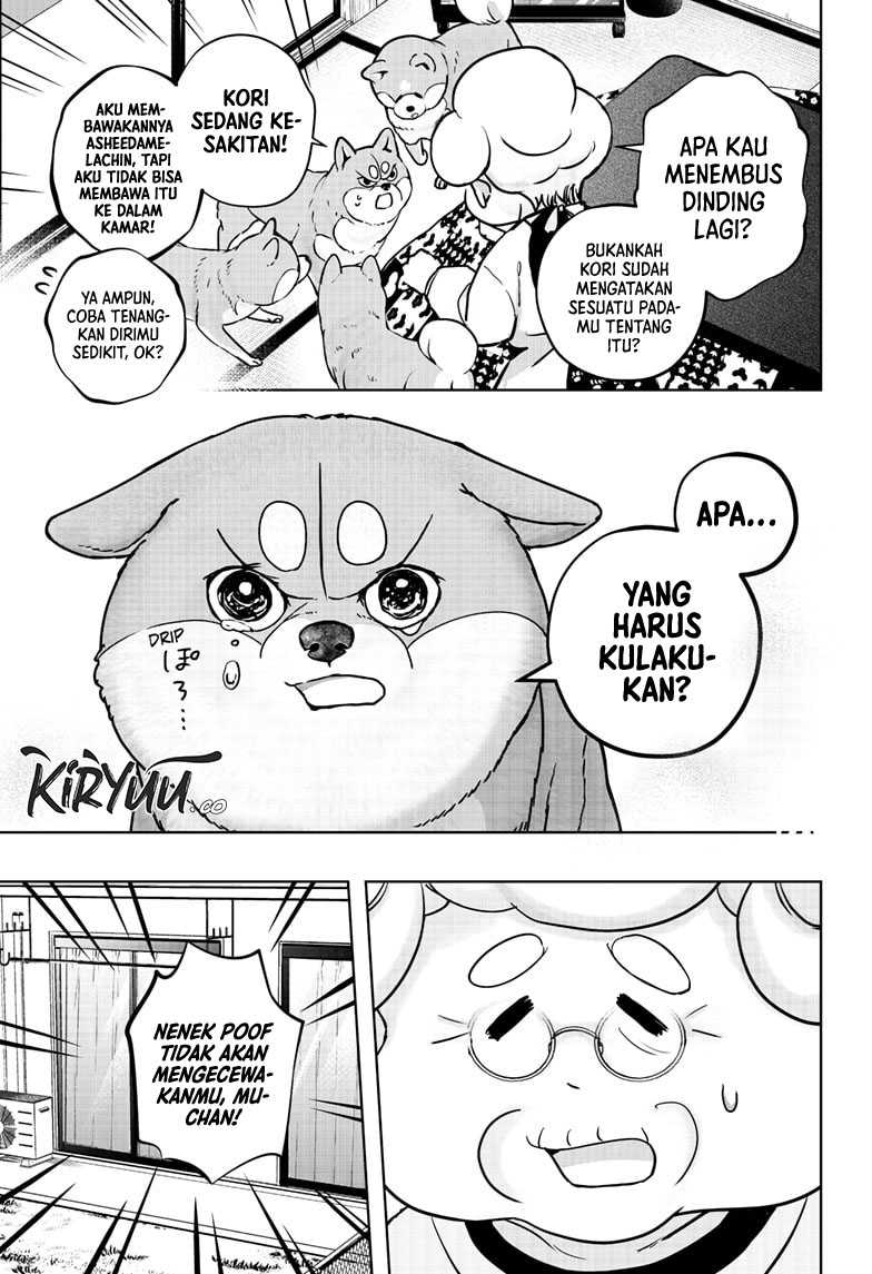 Shiba-Tsuki Bukken