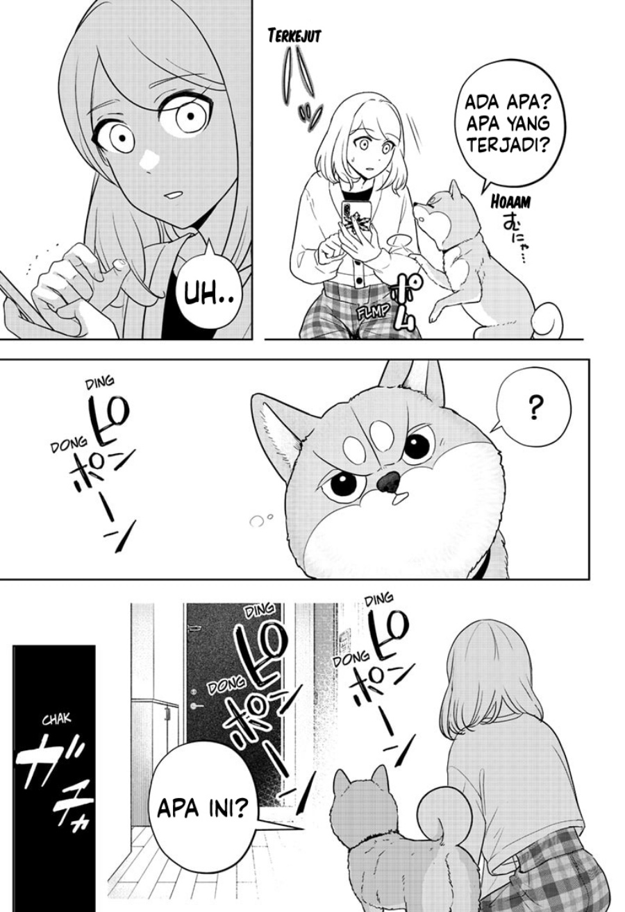 Shiba-Tsuki Bukken