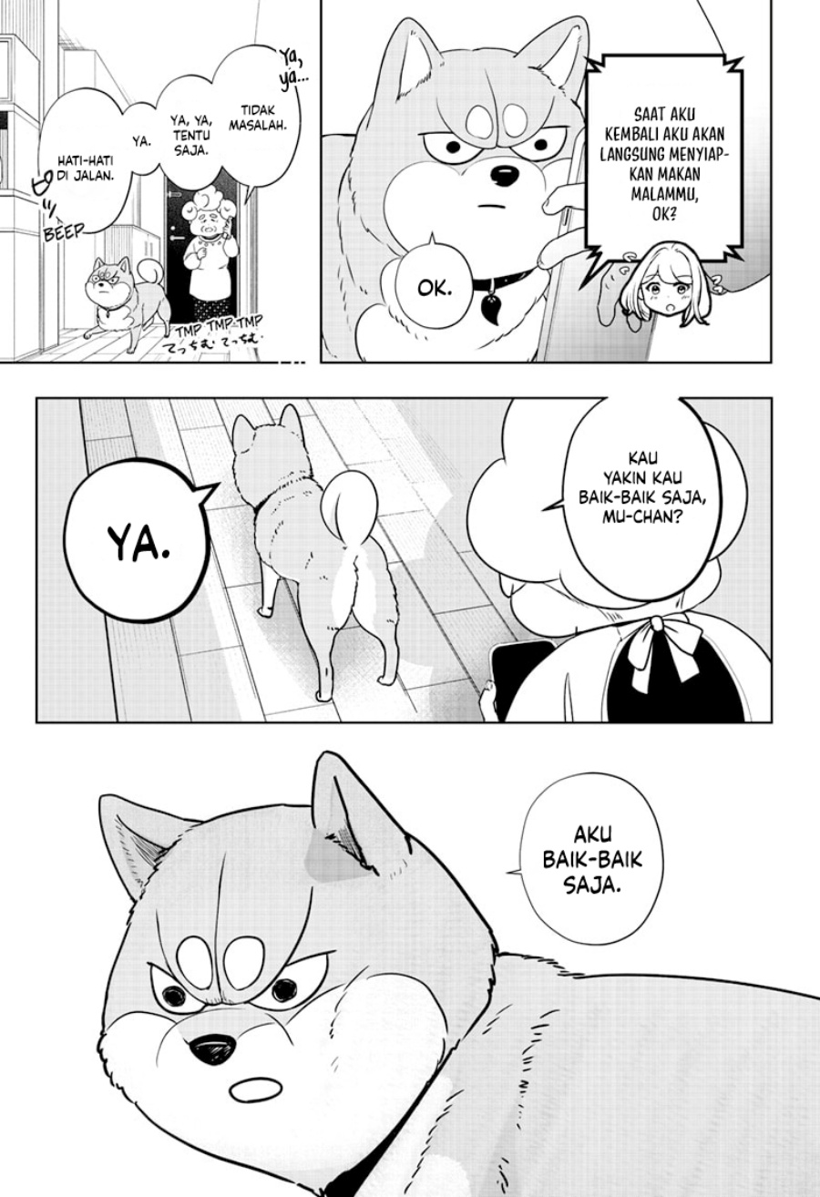 Shiba-Tsuki Bukken