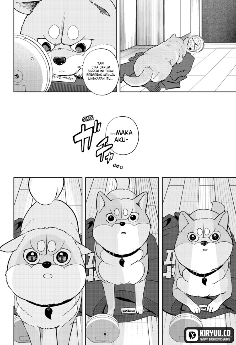 Shiba-Tsuki Bukken
