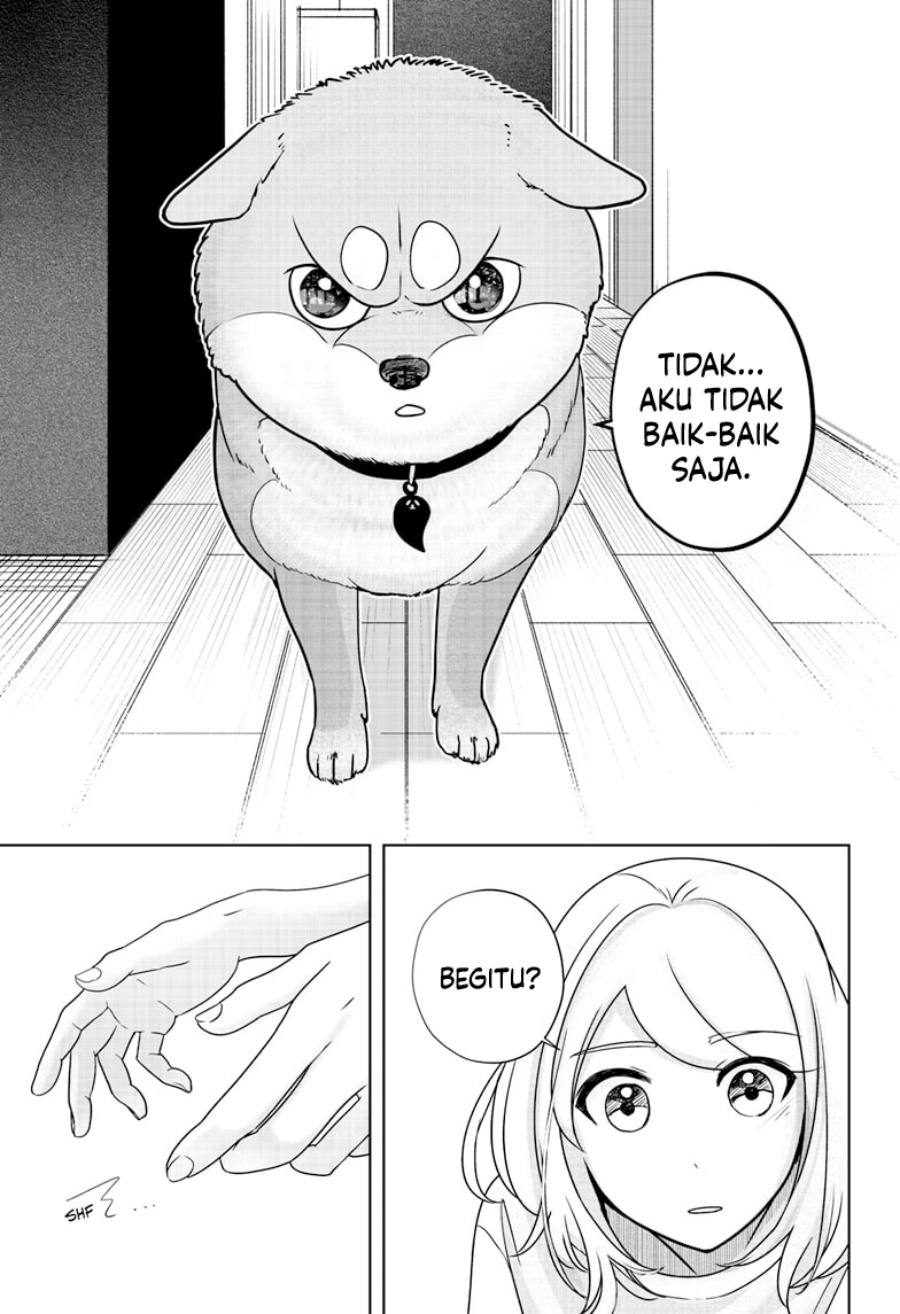 Shiba-Tsuki Bukken