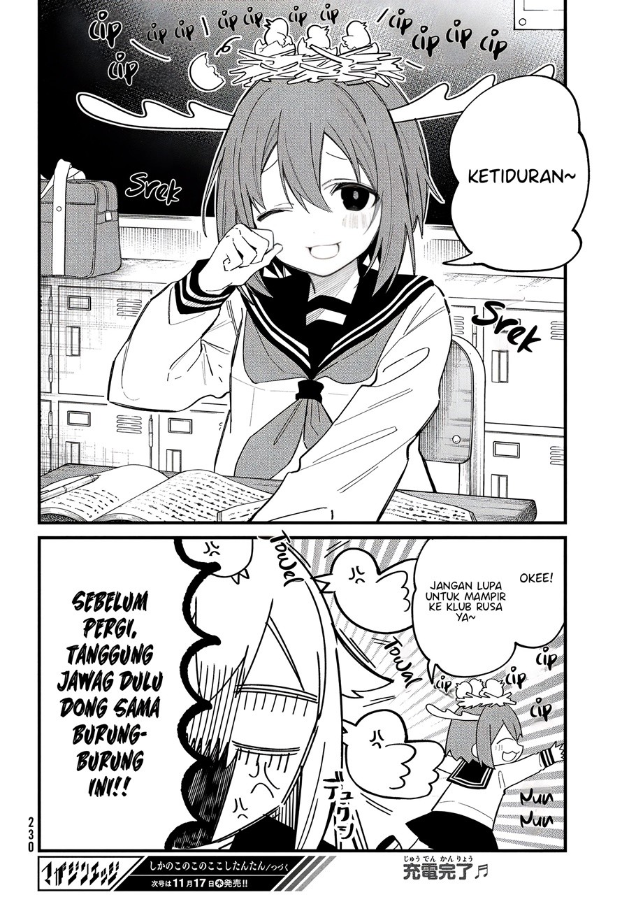 Shikanoko Nokonoko Koshitantan