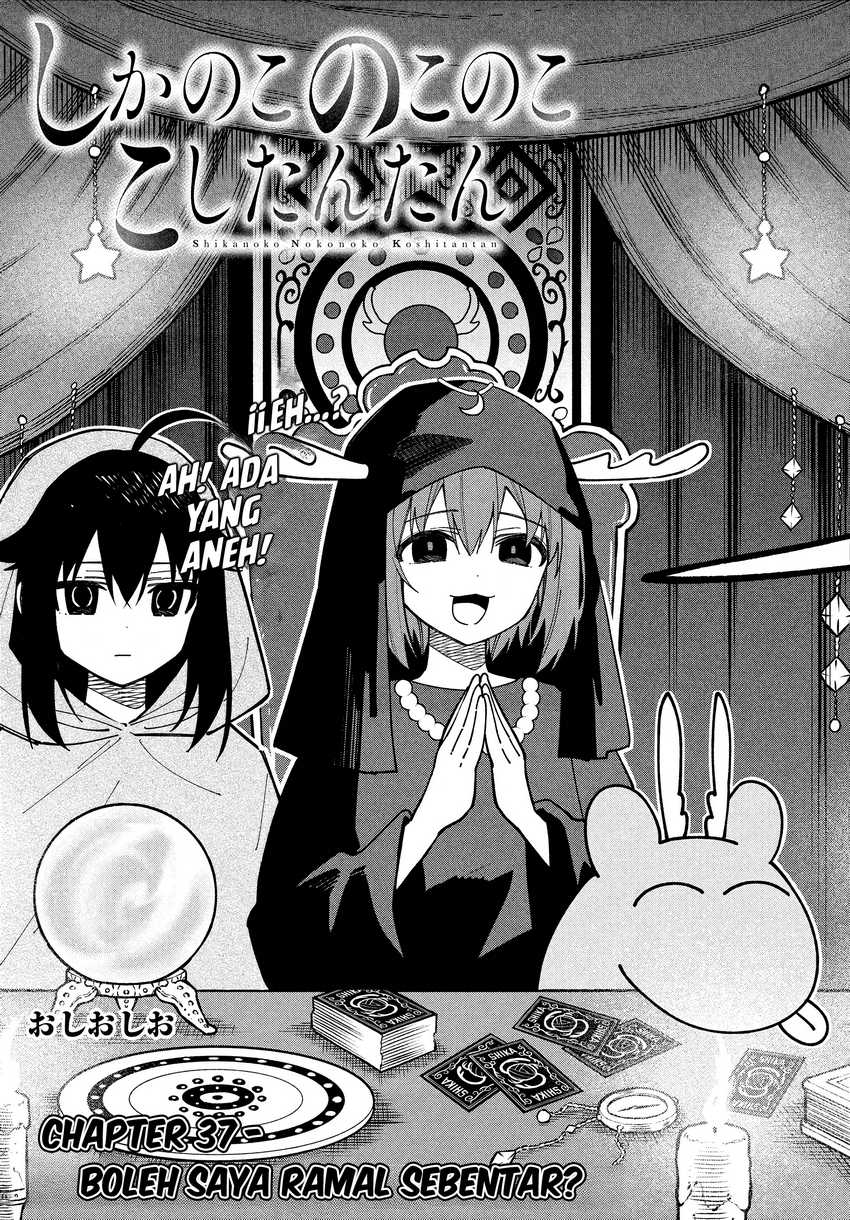 Shikanoko Nokonoko Koshitantan