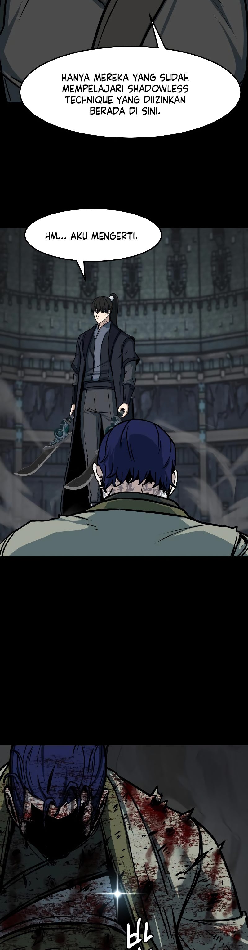 Sword Fanatic Wanders Through The Night