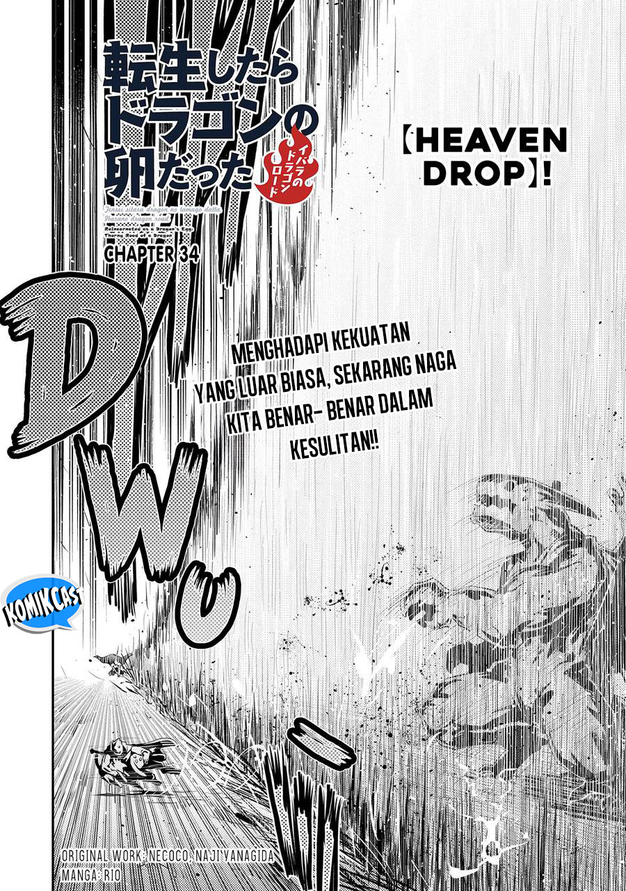 Tensei shitara Dragon no Tamago datta: Saikyou Igai Mezasanee