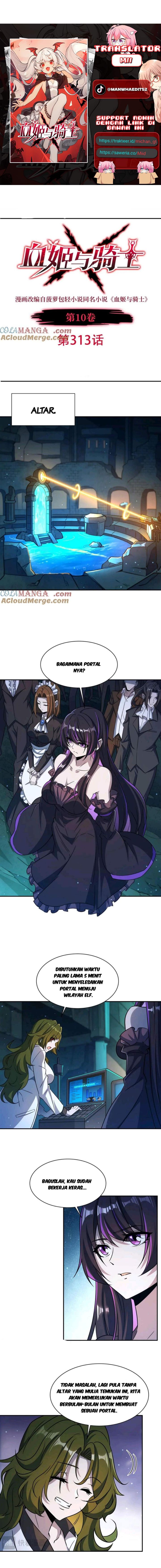 The Blood Princess And The Knight