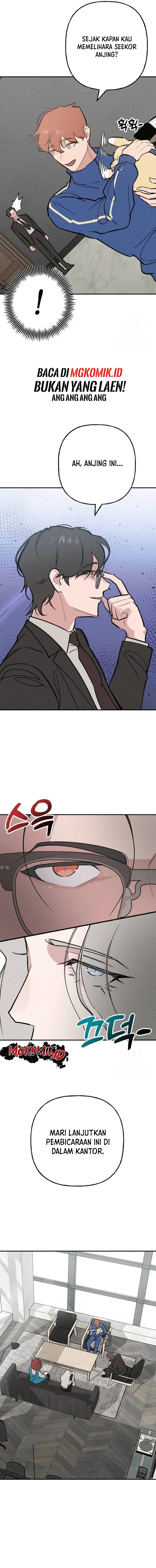 The Devilish Son-In-Law
